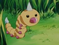 Weedle in the anime (Image via The Pokemon Company)